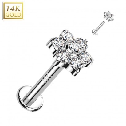 Zlatý piercing do brady - labreta, Au 585/1000 (1,2 x 6 mm)