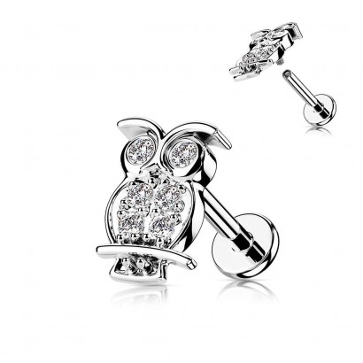 Piercing do brady - sovička (1,2 x 6 mm)