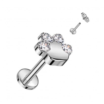 Piercing do brady tlapka TITAN (1,2 x 6 mm)