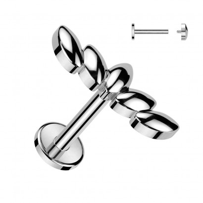 Piercing do brady labreta / cartilge (1,2 x 6 mm)