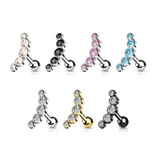 Cartilage piercing do ucha