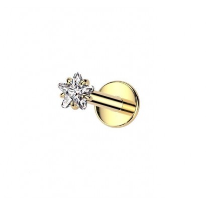 Zlacený piercing do brady - labreta titan hvězda (1,2 x 8 mm)