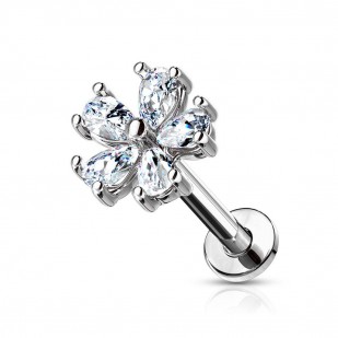 Piercing do brady - labreta kytička