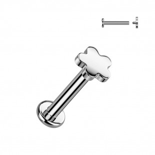 Piercing do brady labreta TITAN